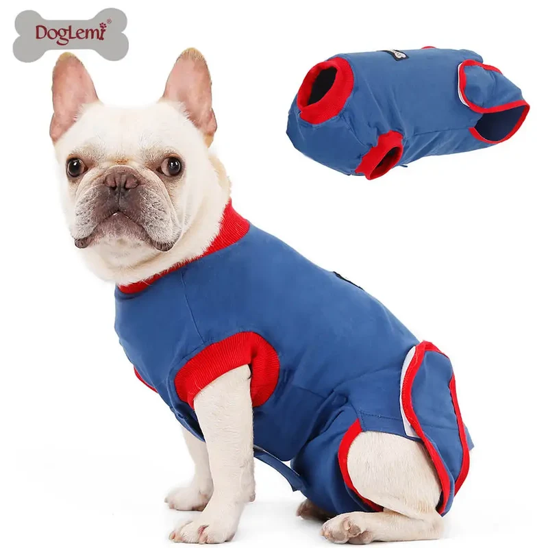 T-Shirt Pour Chien Après Opération
