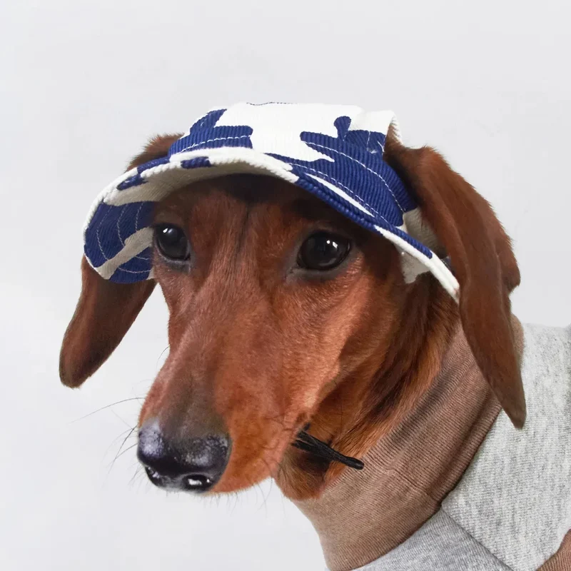 Chapeau Solaire Pour Chien Réglable Respirant Et Léger