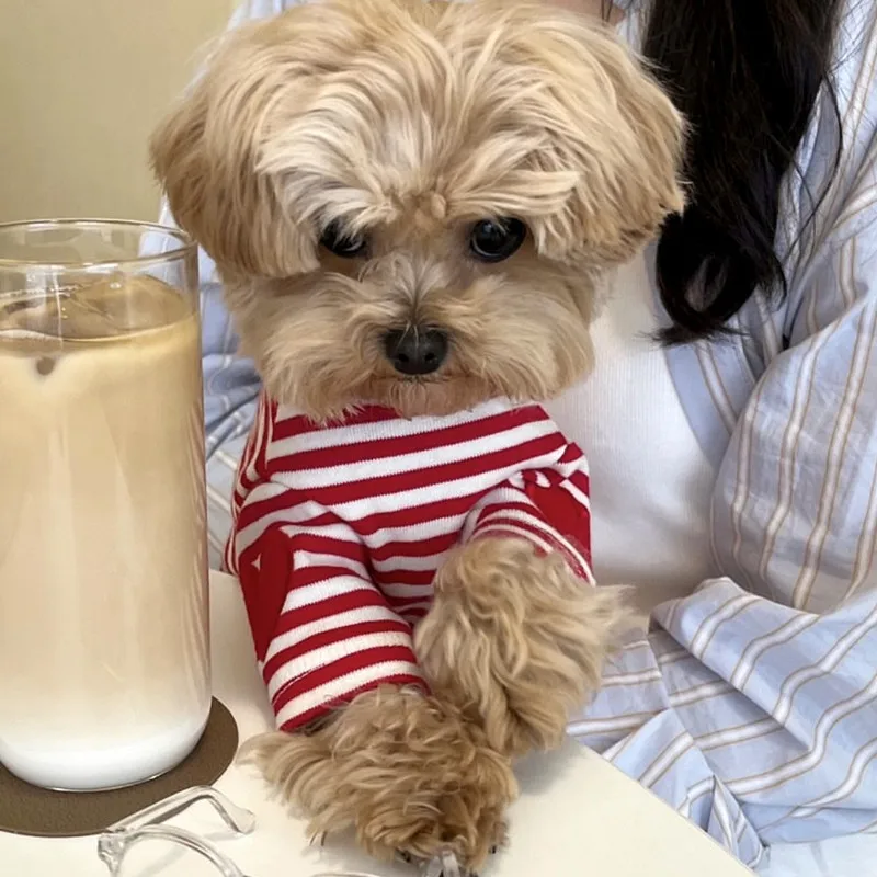 T-shirt Mignon Rayé Love Pour Chien