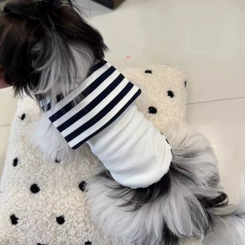 Marinière Elégante Pour Petit Chien