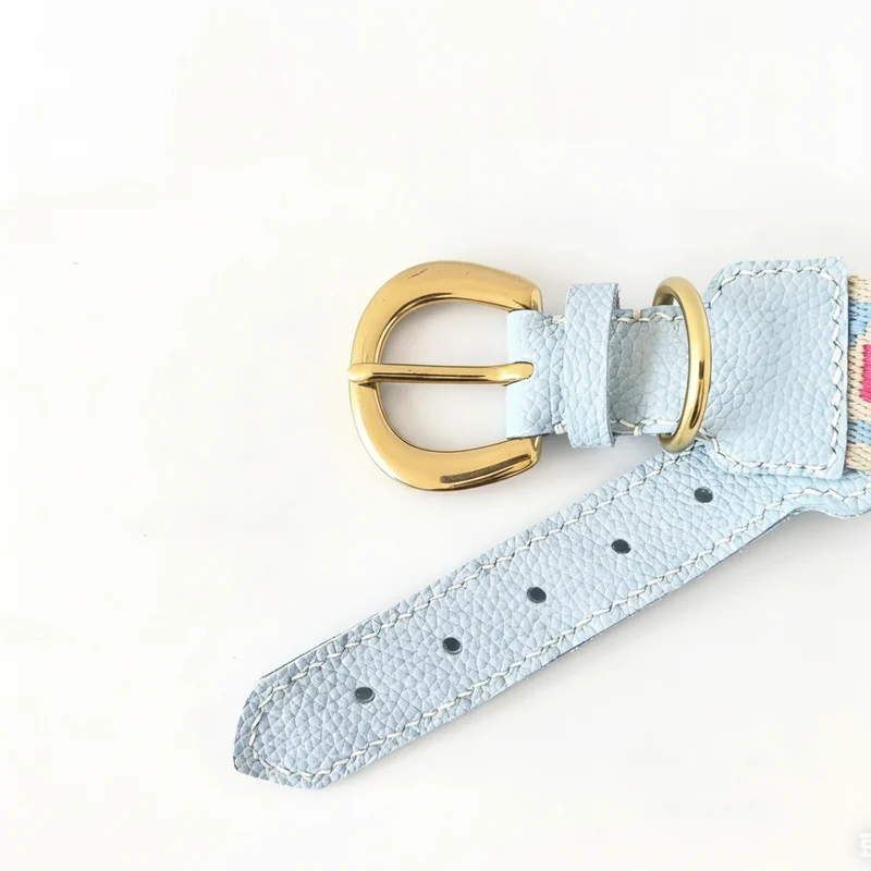Collier Et Laisse Pour Chien En Cuir Véritable Style Bohème