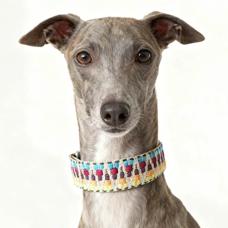 Collier Pour Chien Bohème Tissé A La Main En Cuir Durable