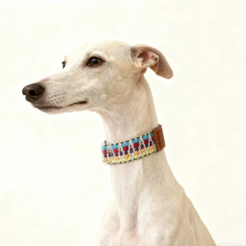 Collier Pour Chien Bohème Tissé A La Main En Cuir Durable