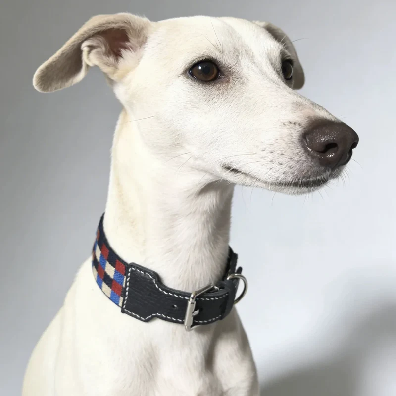 Collier Large Pour Chien Damier Multicolore En Cuir Véritable