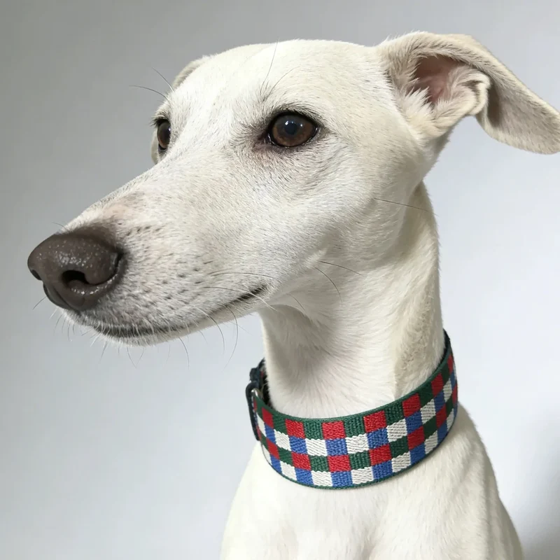 Collier Large Pour Chien Damier Multicolore En Cuir Véritable