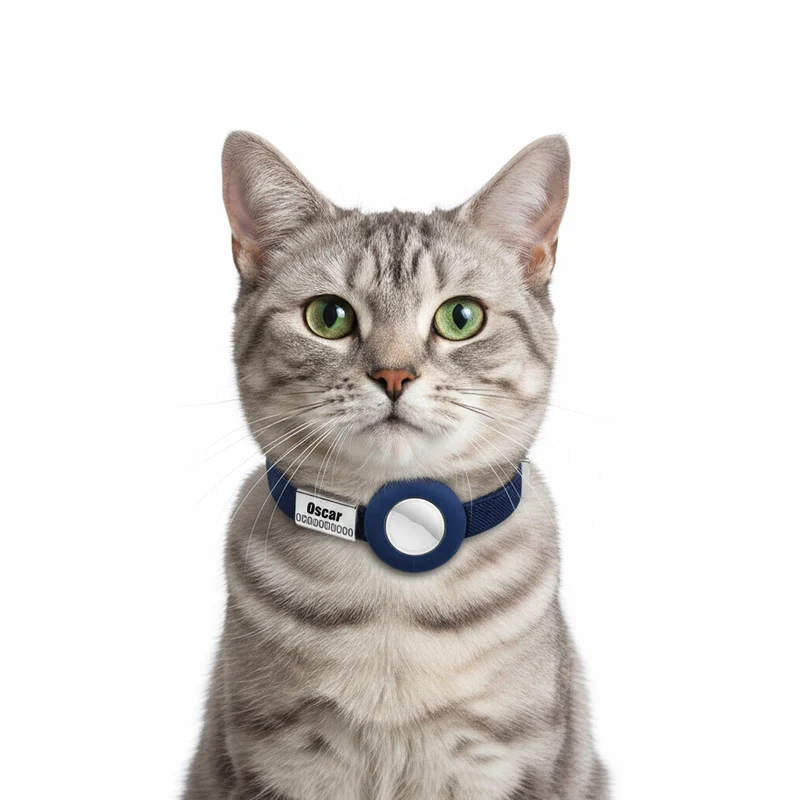 Collier Chat Personnalisable Anti Étranglement Et Emplacement Airtag