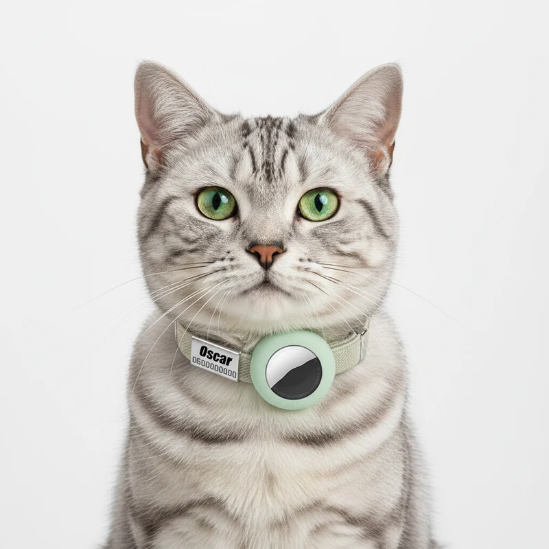 Collier Chat Personnalisable Anti Étranglement Et Emplacement Airtag