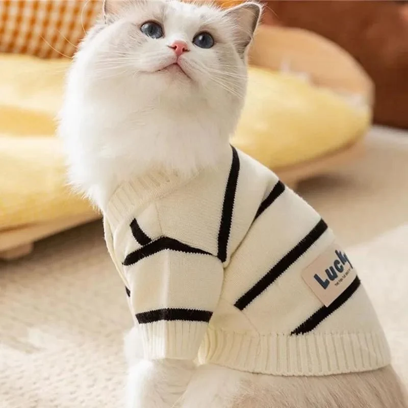 Pull pour chien rayé - Confortable, stylé et chaud