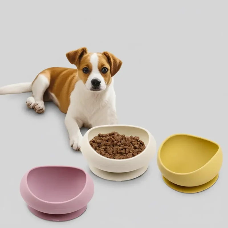 Gamelle En Silicone Pour Chat Et Petit Chien Avec Ventouse