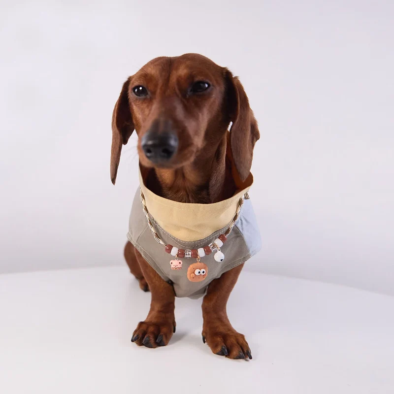 Veste Sans Manches Pour Chien