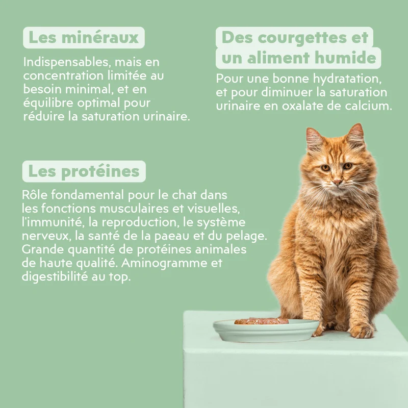 Pâtée Chat Adulte Urinaire - Porc