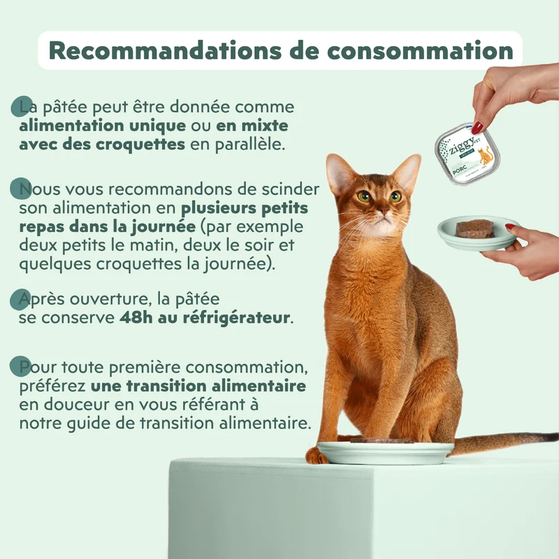 Pâtée Chat Adulte Urinaire - Porc