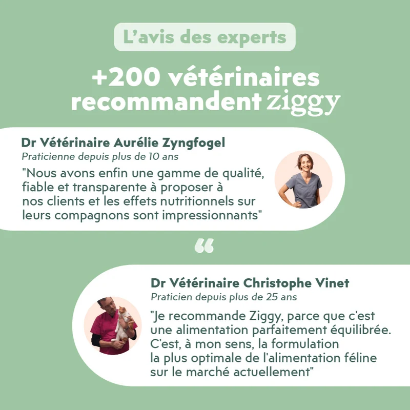 Pâtée Chat Adulte Urinaire - Porc