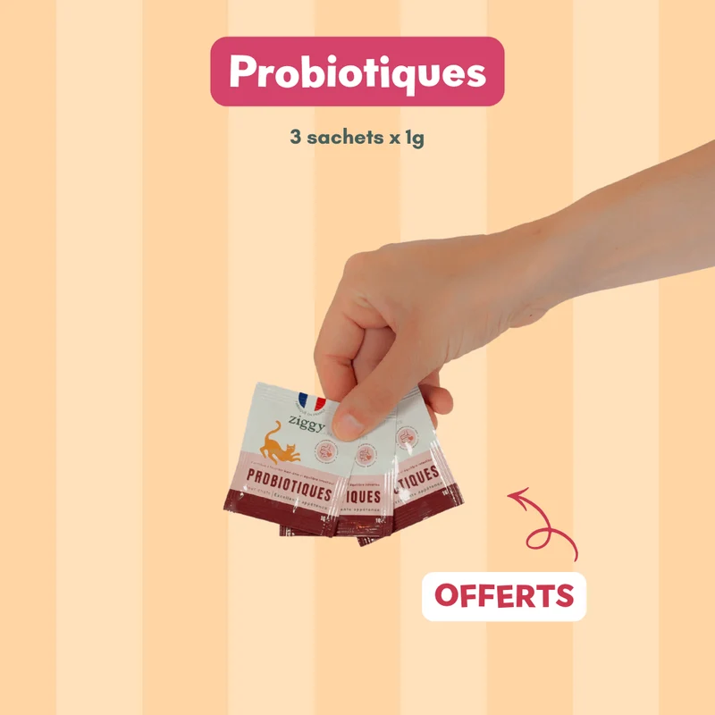 Coffret Découverte Pâtées - Poulet + Saumon + Boeuf + Poisson Blanc + 3 probiotiques