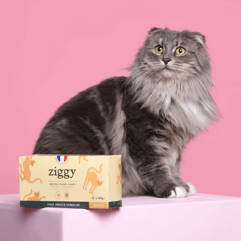Coffret Découverte Pâtées - Poulet + Saumon + Boeuf + Poisson Blanc + 3 probiotiques