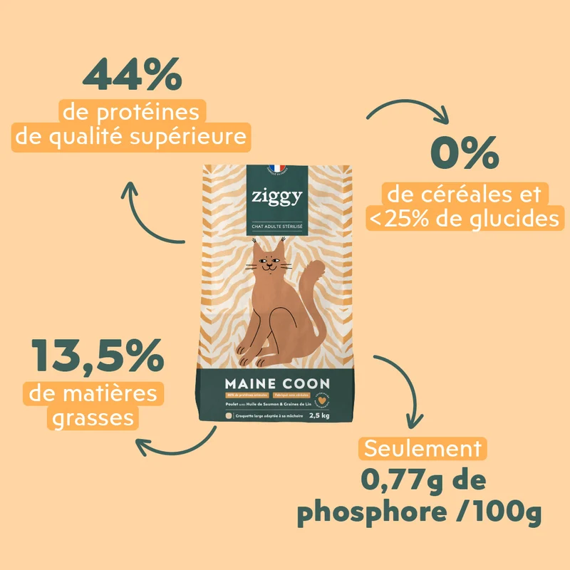 Croquettes Maine Coon Stérilisé Sans Céréales - Poulet