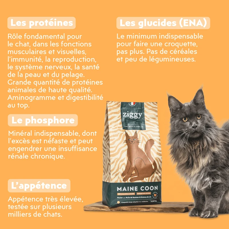 Croquettes Maine Coon Stérilisé Sans Céréales - Poulet