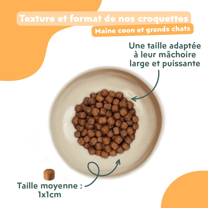 Croquettes Maine Coon Stérilisé Sans Céréales - Poulet