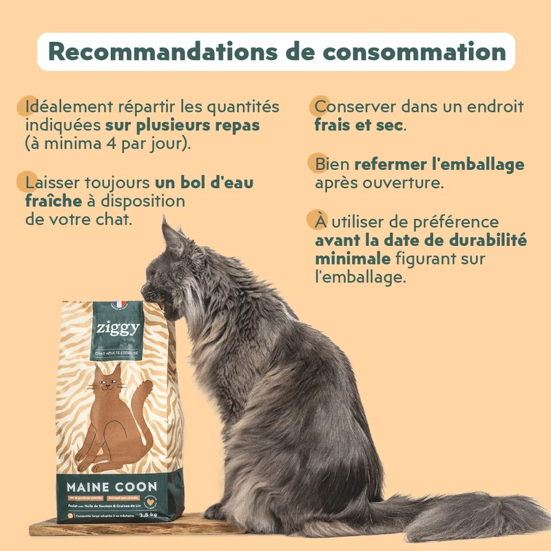 Croquettes Maine Coon Stérilisé Sans Céréales - Poulet