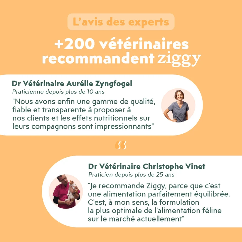 Croquettes Maine Coon Stérilisé Sans Céréales - Poulet