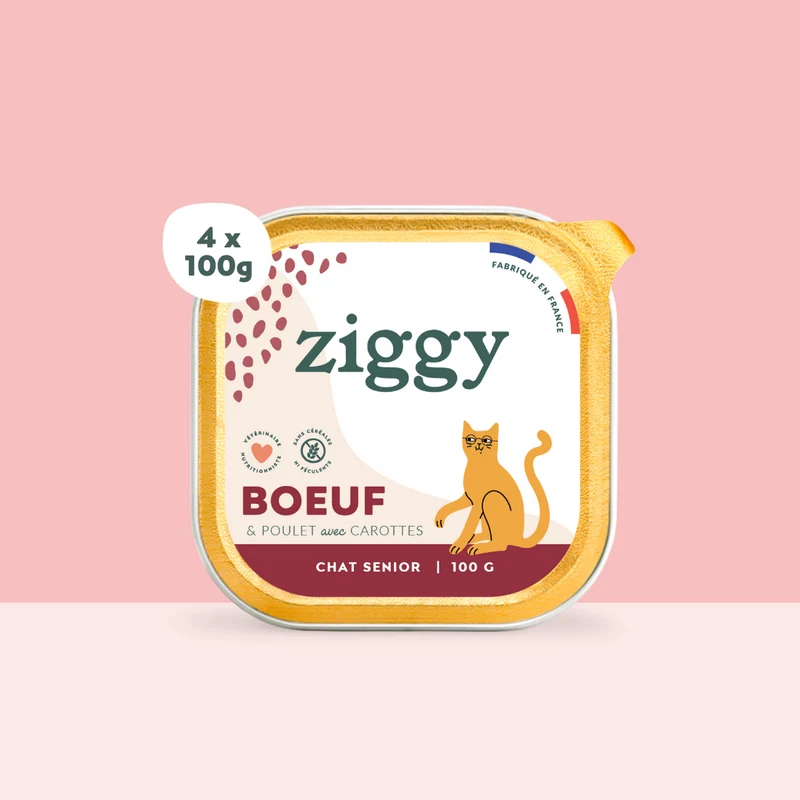 Pâtée - Boeuf