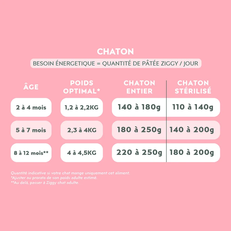 Pâtée Chaton Sans Céréales - Truite