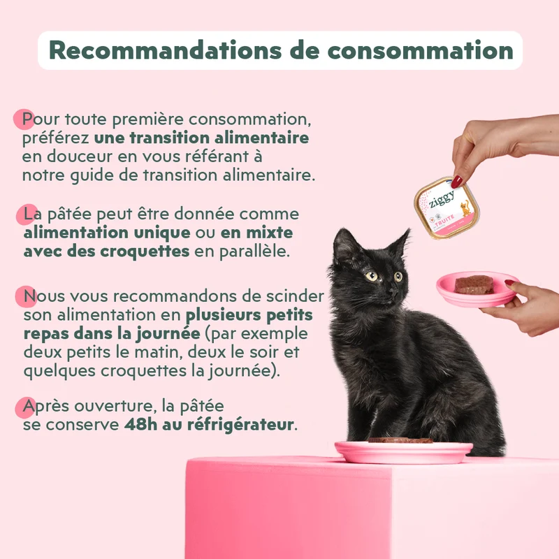 Pâtée Chaton Sans Céréales - Truite