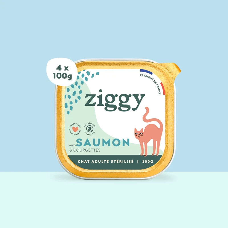 Pâtée - Saumon