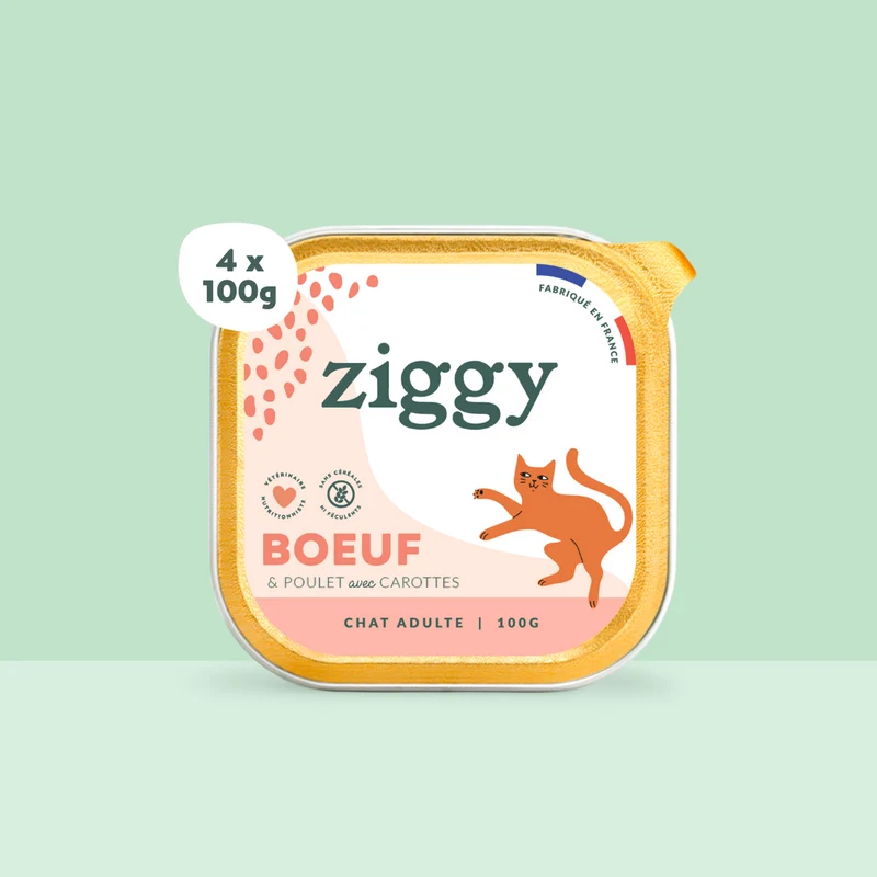 Pâtée - Boeuf
