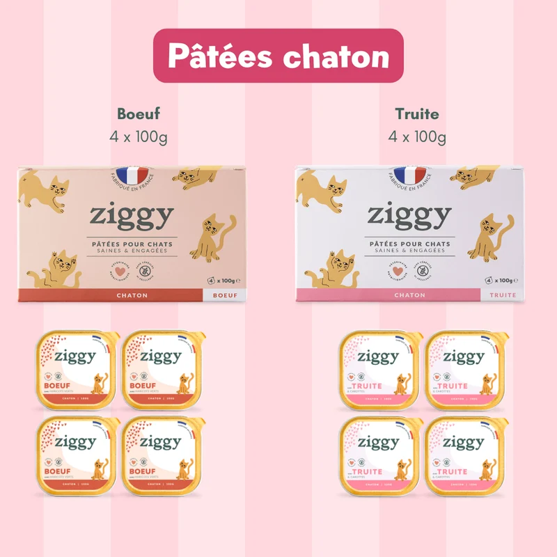 Coffret Découverte Chaton - 1kg Croquettes + 8 Pâtées + 3 probiotiques