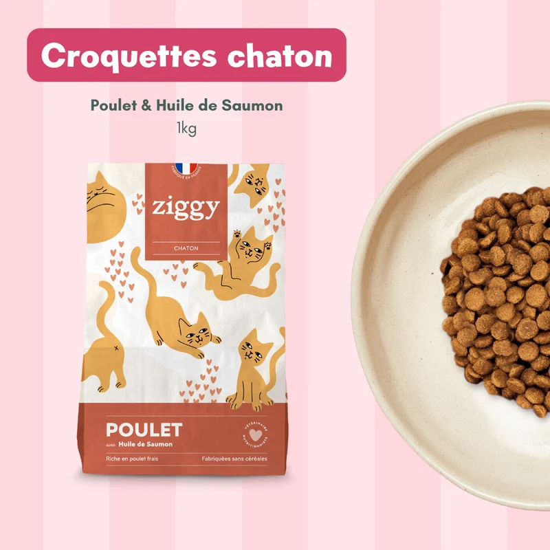 Coffret Découverte Chaton - 1kg Croquettes + 8 Pâtées + 3 probiotiques