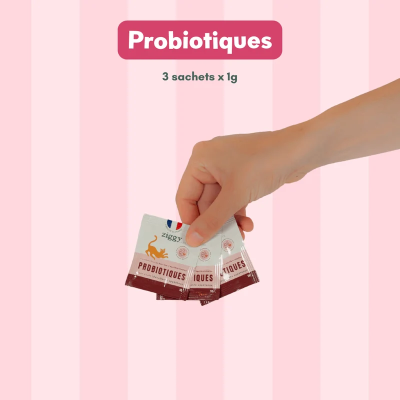 Coffret Découverte Chaton - 1kg Croquettes + 8 Pâtées + 3 probiotiques