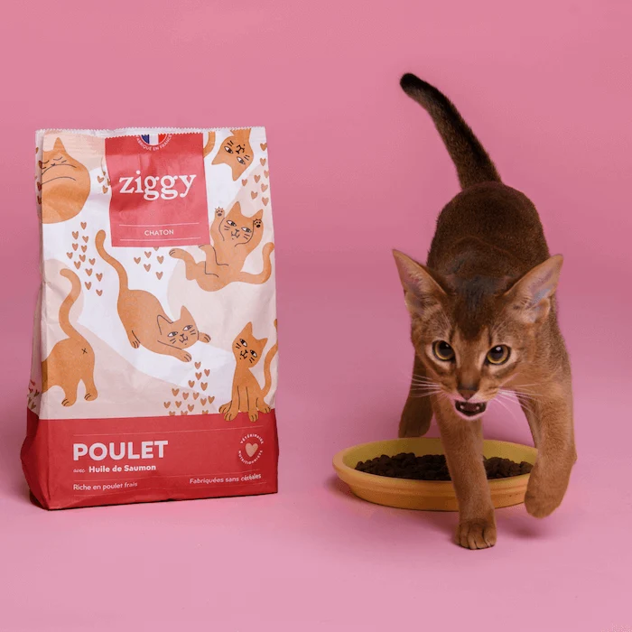 Coffret Découverte Chaton - 1kg Croquettes + 8 Pâtées + 3 probiotiques