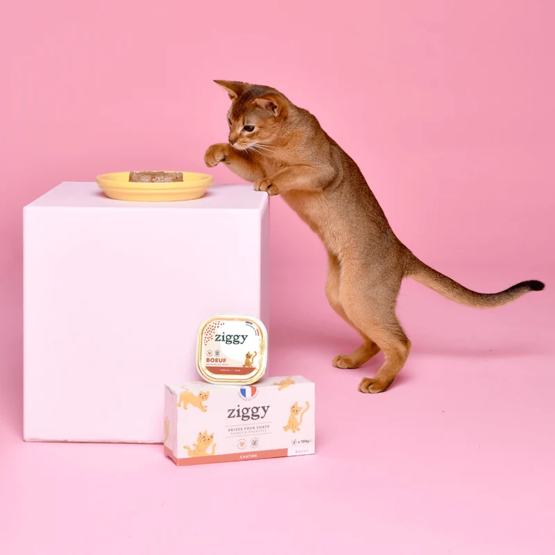 Coffret Découverte Chaton - 1kg Croquettes + 8 Pâtées + 3 probiotiques