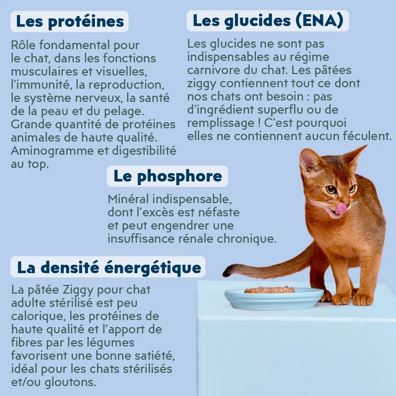 Pâtée Chat Stérilisé Sans Céréales - Poisson Blanc