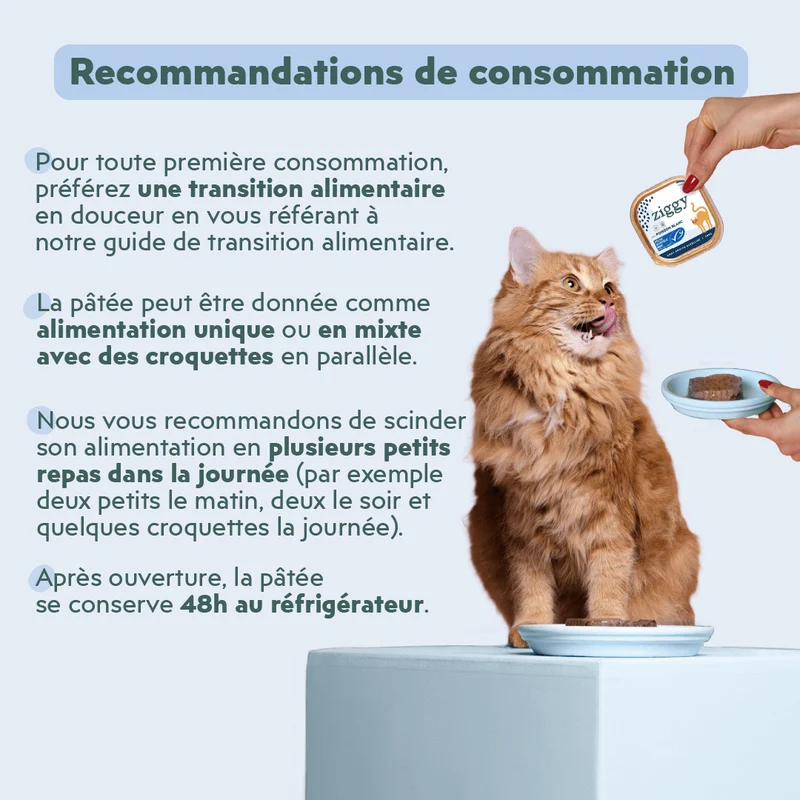 Pâtée Chat Stérilisé Sans Céréales - Poisson Blanc