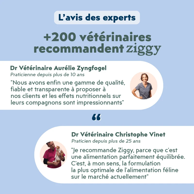 Pâtée Chat Stérilisé Sans Céréales - Poisson Blanc