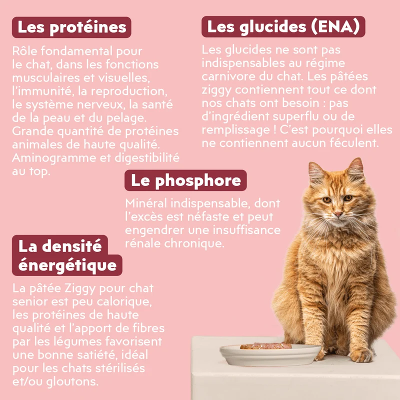 Pâtée Chat Senior Sans Céréales - Boeuf