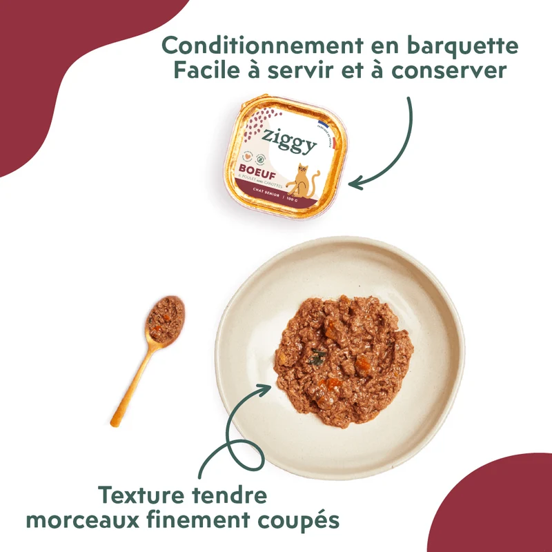 Pâtée Chat Senior Sans Céréales - Boeuf
