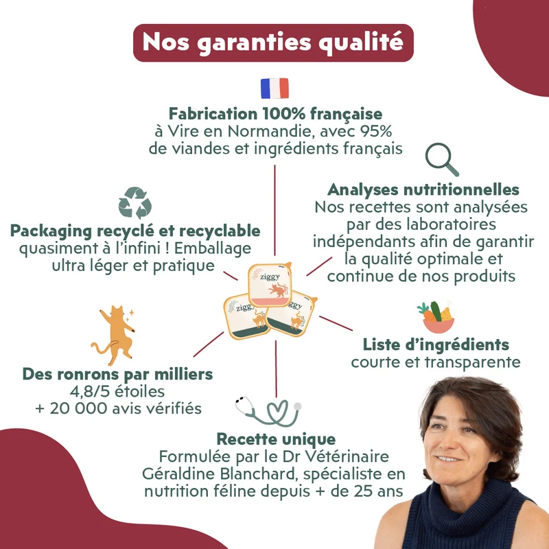 Pâtée Chat Senior Sans Céréales - Boeuf
