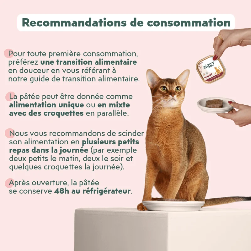 Pâtée Chat Senior Sans Céréales - Boeuf