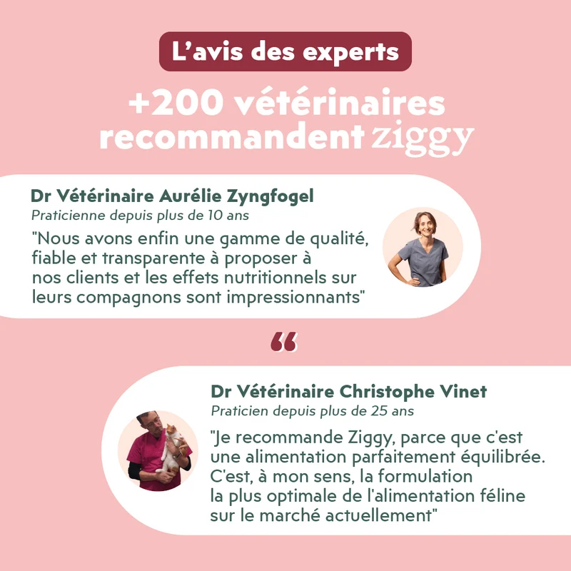 Pâtée Chat Senior Sans Céréales - Boeuf