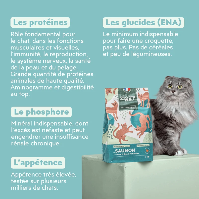 Croquettes Chat Stérilisé Sans Céréales - Saumon