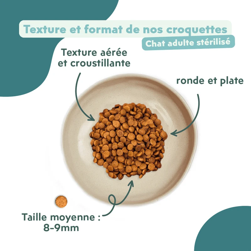 Croquettes Chat Stérilisé Sans Céréales - Saumon