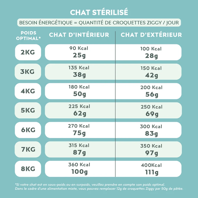 Croquettes Chat Stérilisé Sans Céréales - Saumon