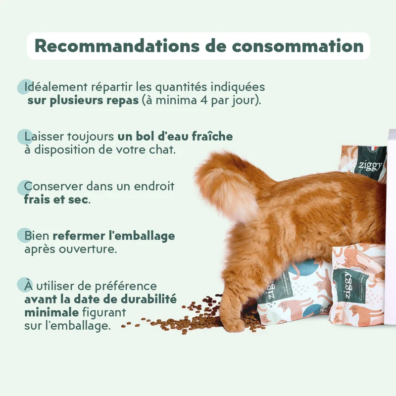 Croquettes Chat Stérilisé Sans Céréales - Saumon