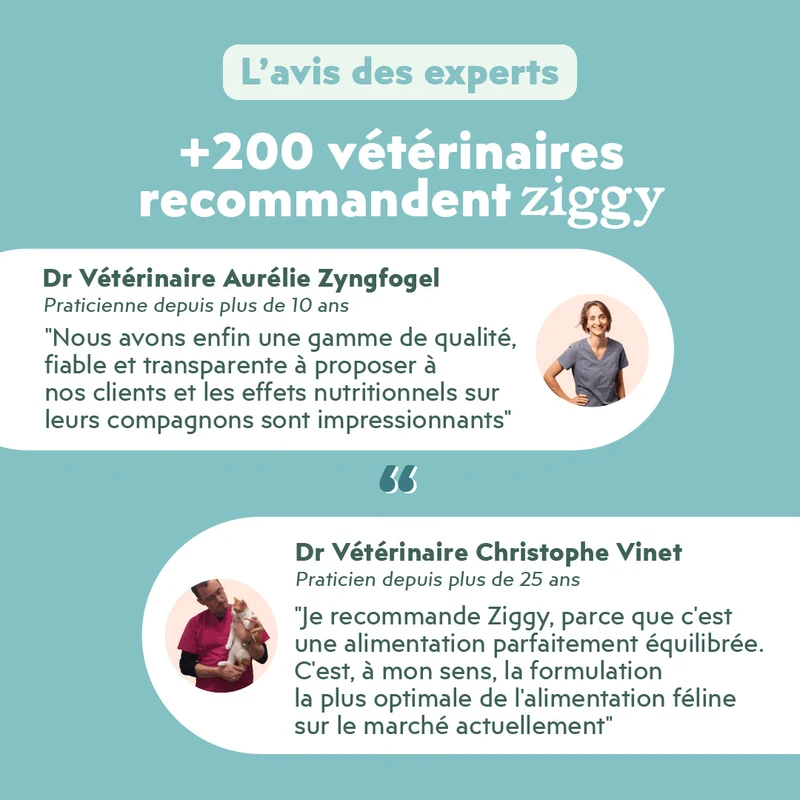 Croquettes Chat Stérilisé Sans Céréales - Saumon