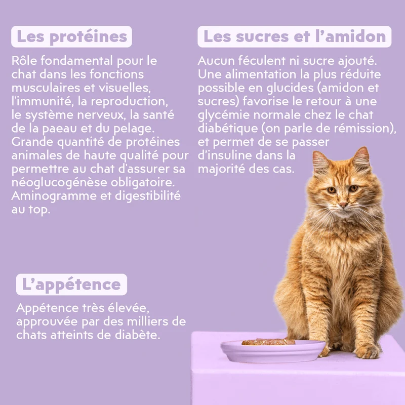 Pâtée Chat Adulte Diabète - Porc