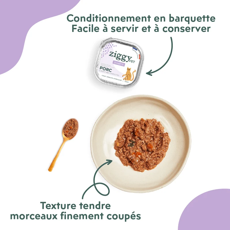 Pâtée Chat Adulte Diabète - Porc