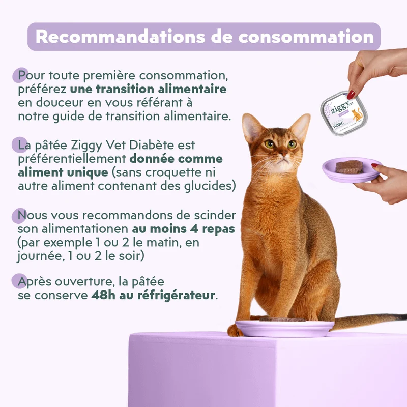 Pâtée Chat Adulte Diabète - Porc